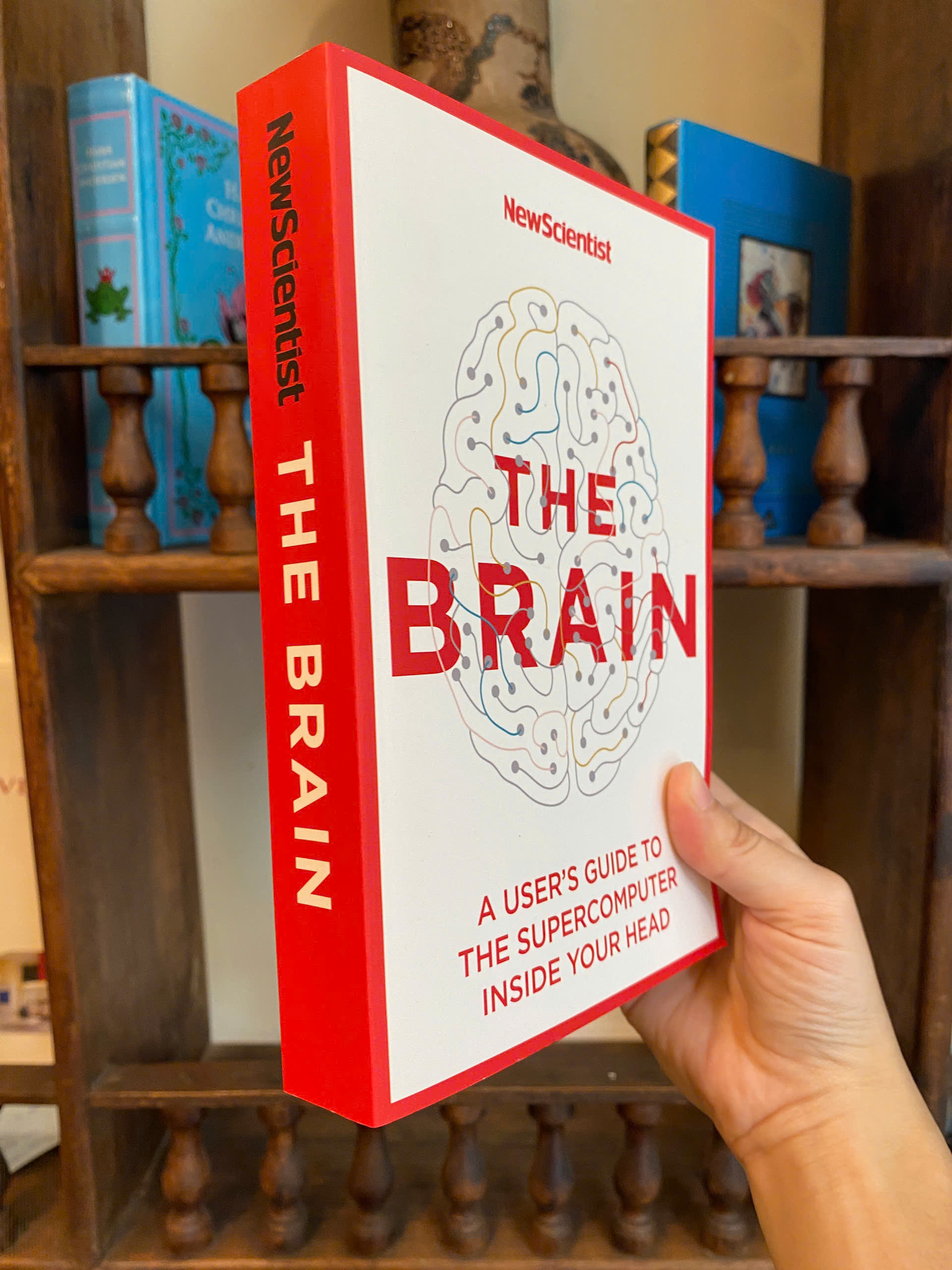 Sách - The Brain: A User's Guide to the Supercomputer Inside Your Head - New Scientist / Ngoại văn