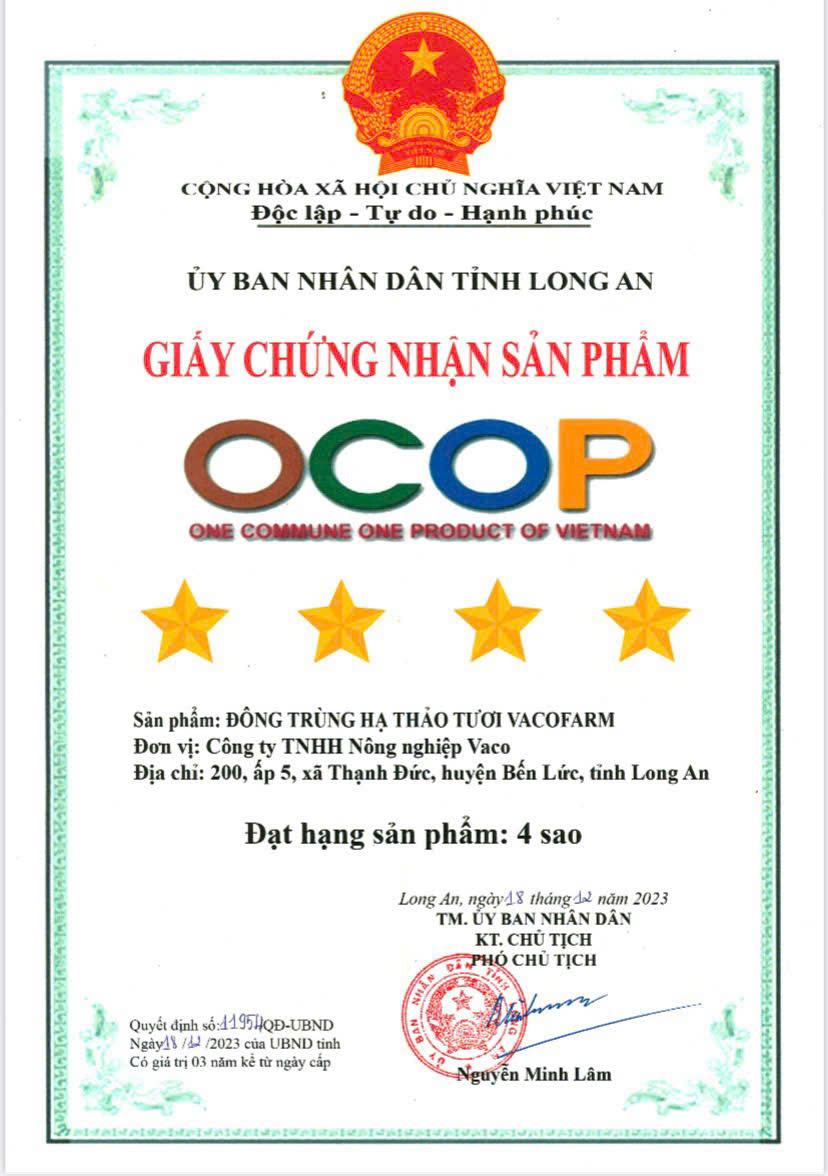 COMBO 7 hộp Nấm tươi Đông trùng hạ thảo khối lượng 200gram/hộp [Mua 5 tặng 2]