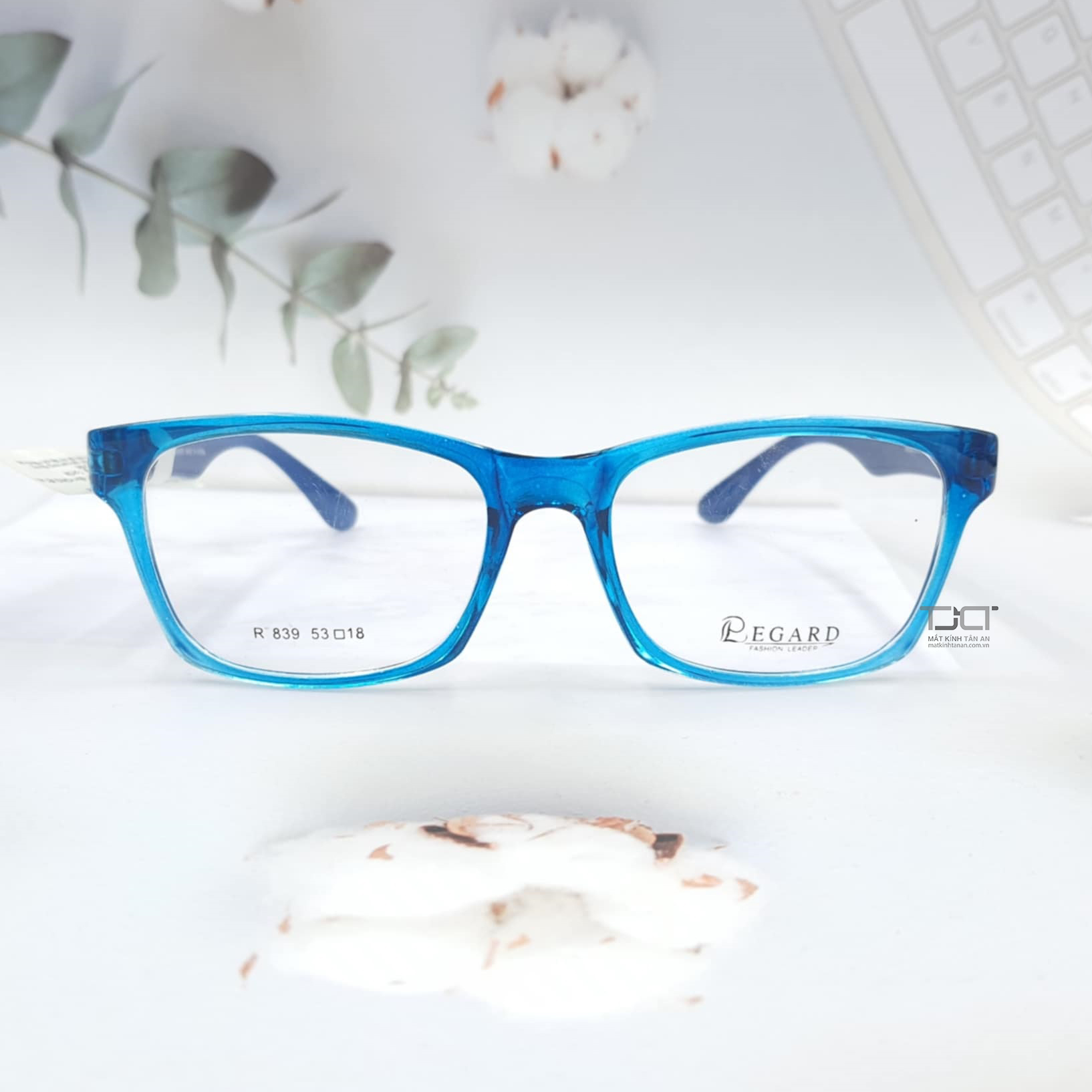 GỌNG KÍNH CẬN UNISEX, CHÍNH HÃNG REGARD R839-SBL-NBL/PRL