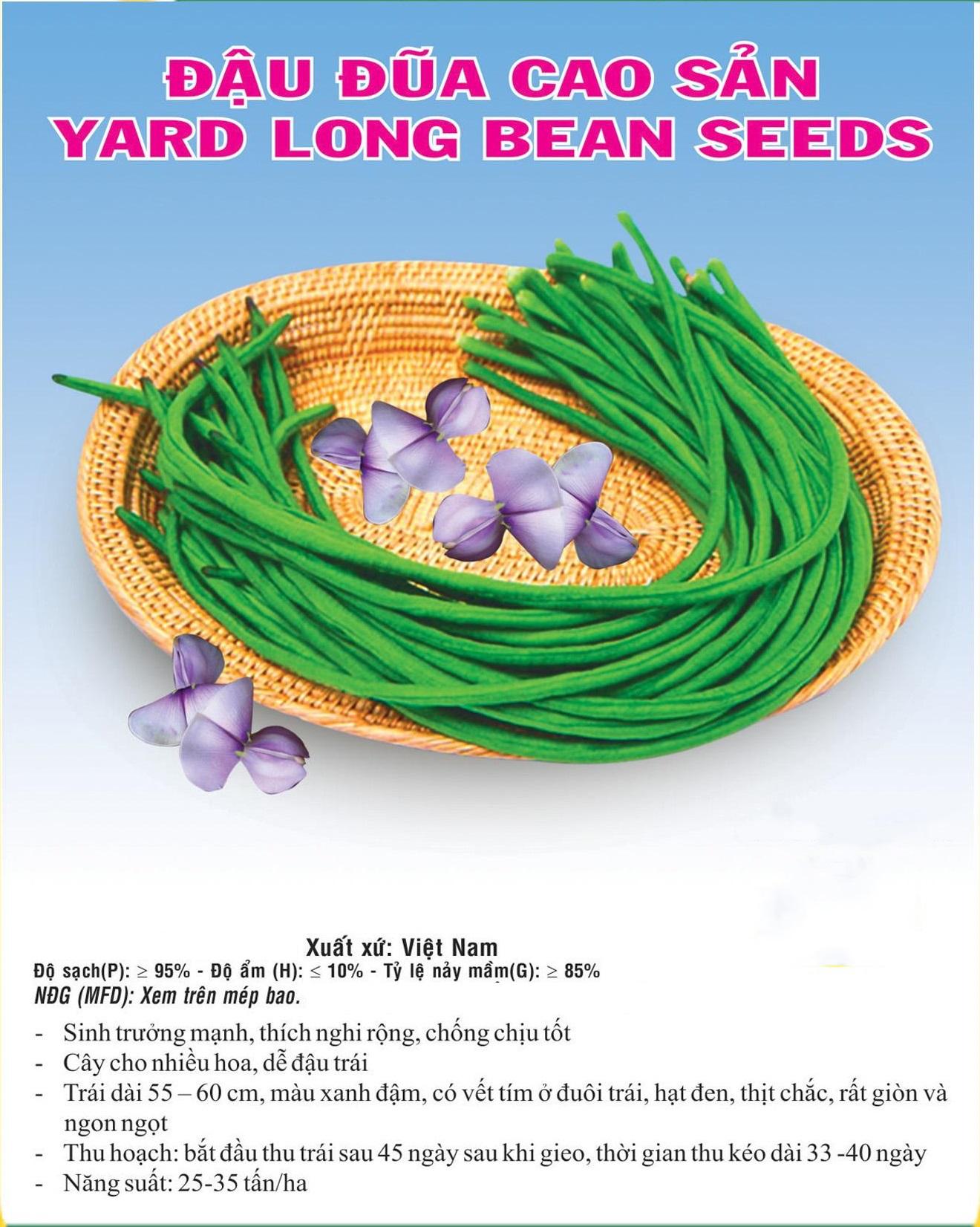 Hạt giống đậu đũa xanh cao sản