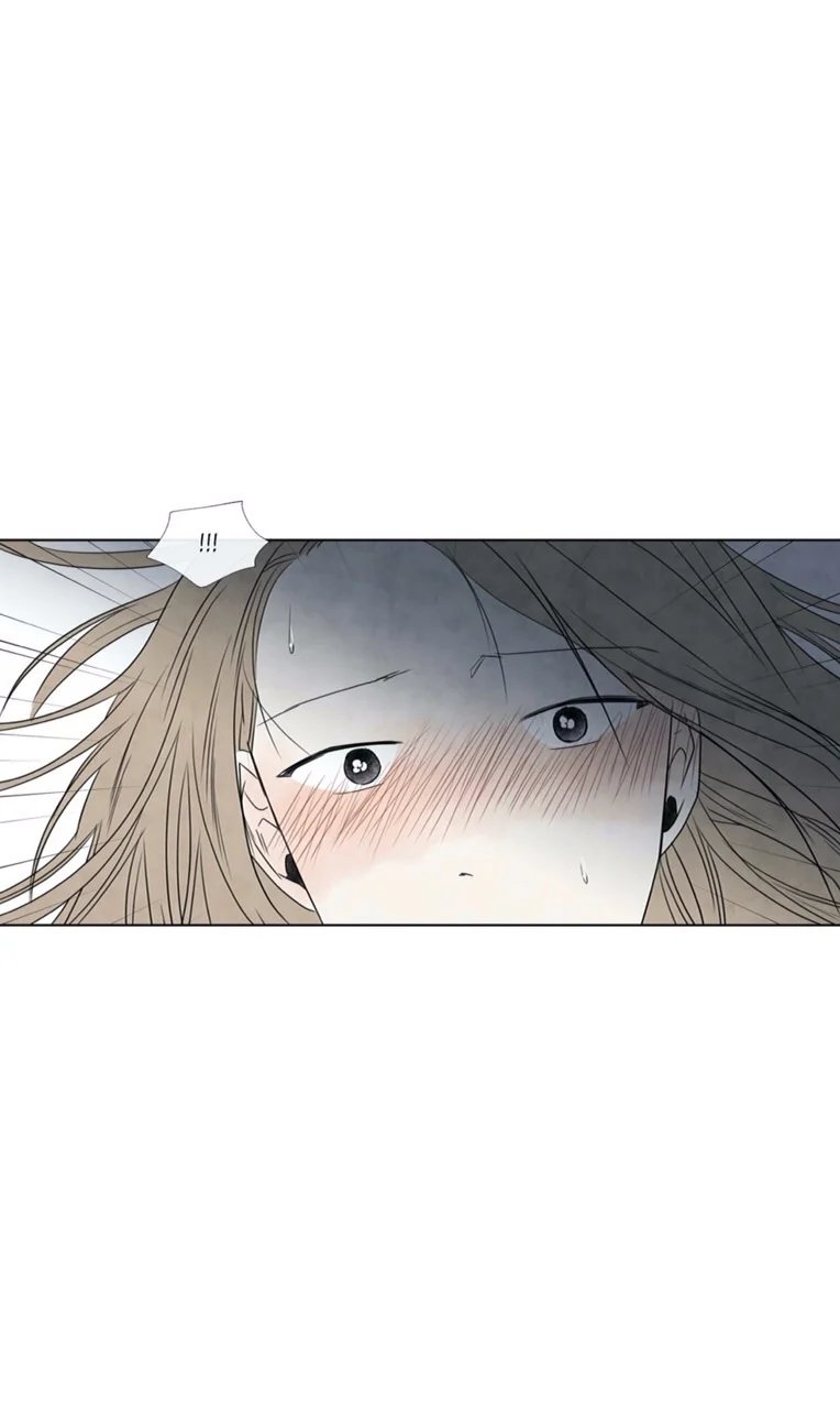 summer solstice point chapter 3 6