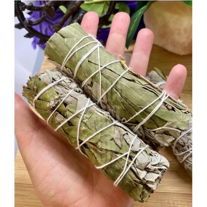 XÔ CÂN BẰNG chữa lành cảm xúc, tăng cường sự tập trung, nạp năng lượng ( White sage mix Bạch Đàn )