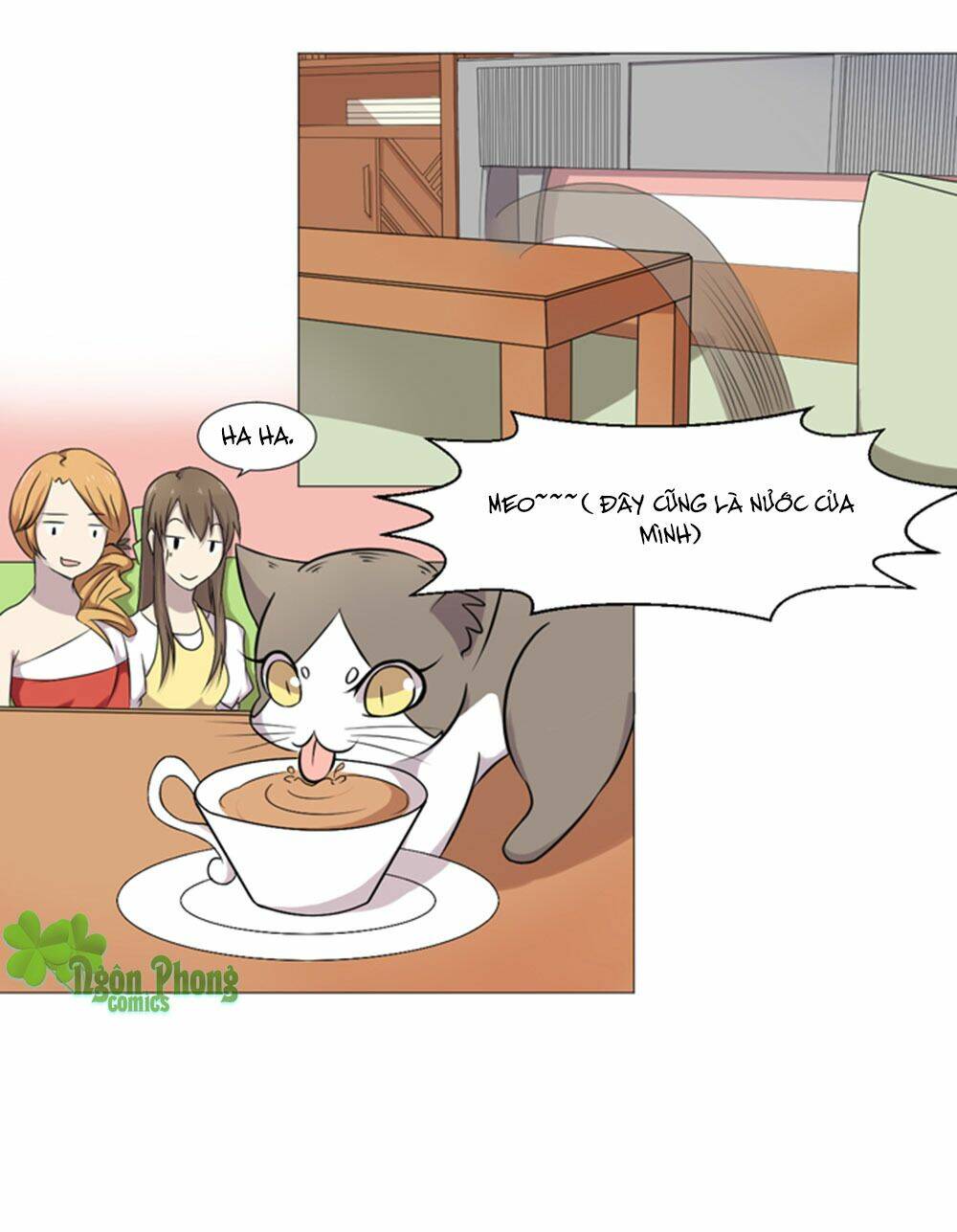 hai chú mèo totem chapter 36 22