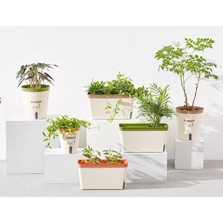 Chậu nhựa tự tưới PY cao cấp- trồng rau , hoa , sen đá