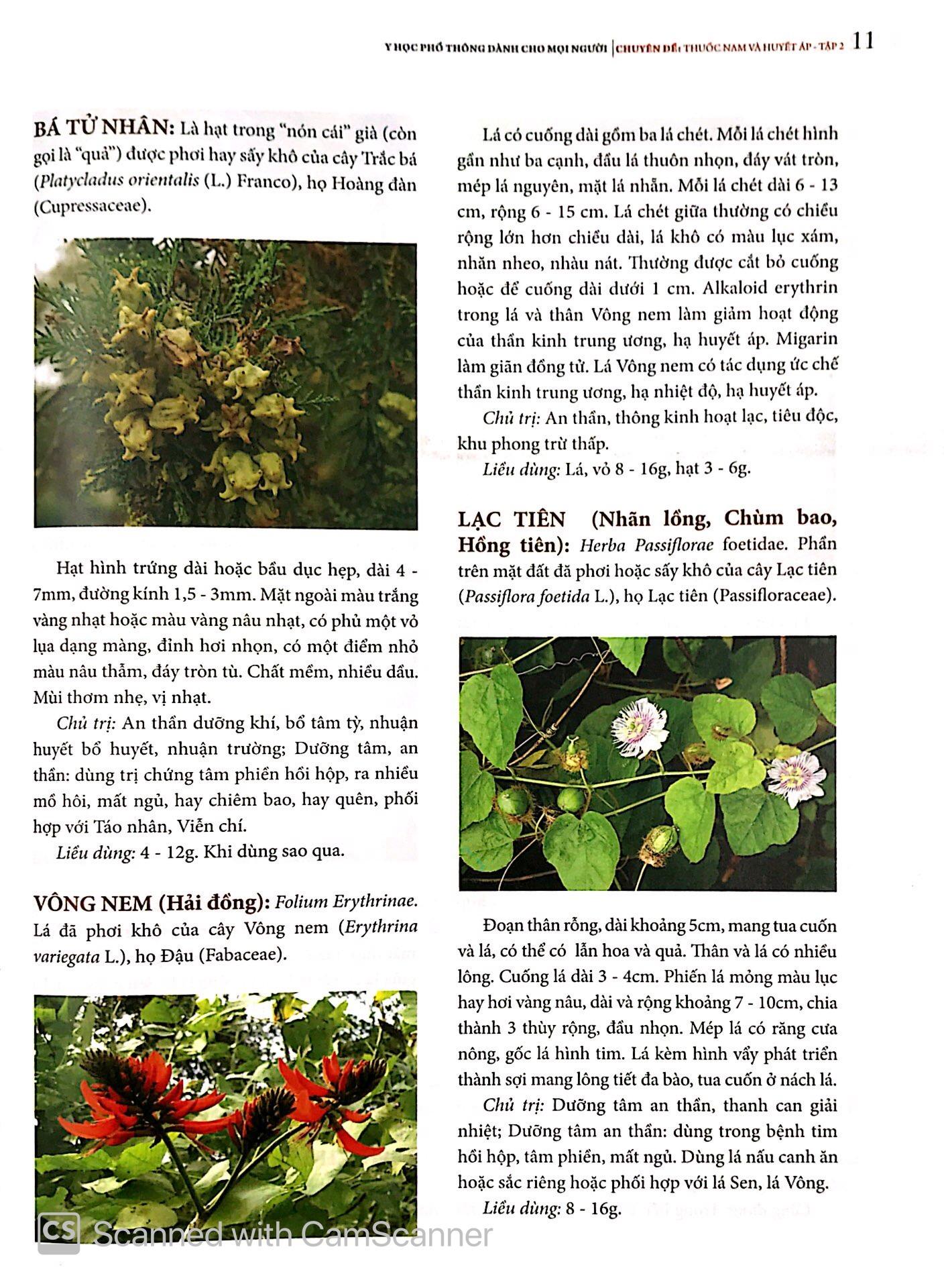 Y Học Phổ Thông - Thuốc Nam Và Huyết Áp (Tập 2)