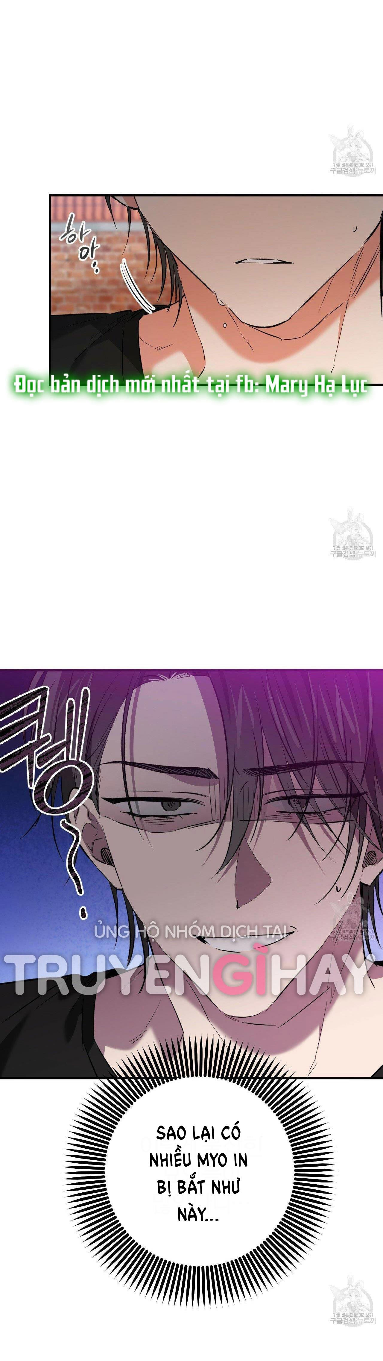 những chú thỏ của hapypy chapter 53.1 7