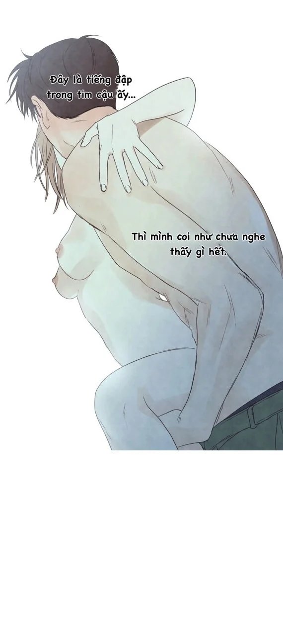 summer solstice point chapter 14 41