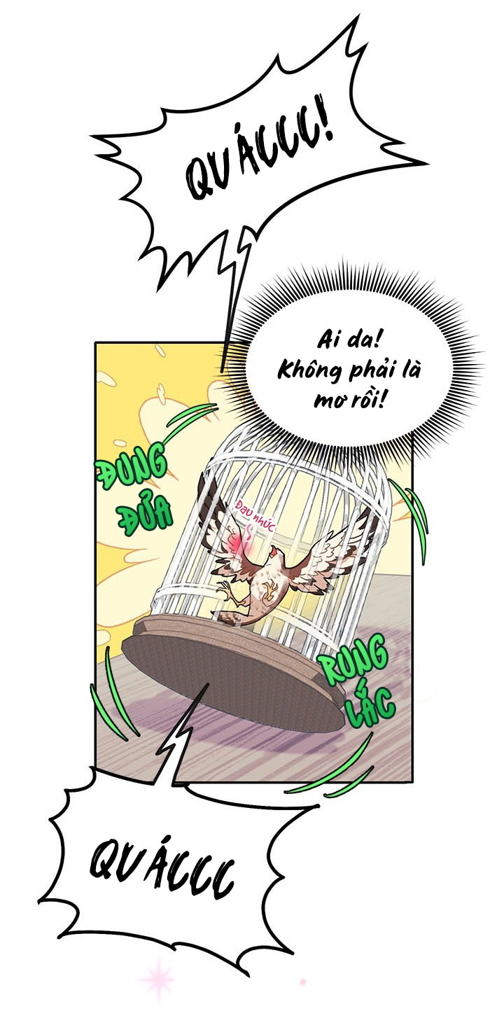 công chúa của loài chim chapter 2 7