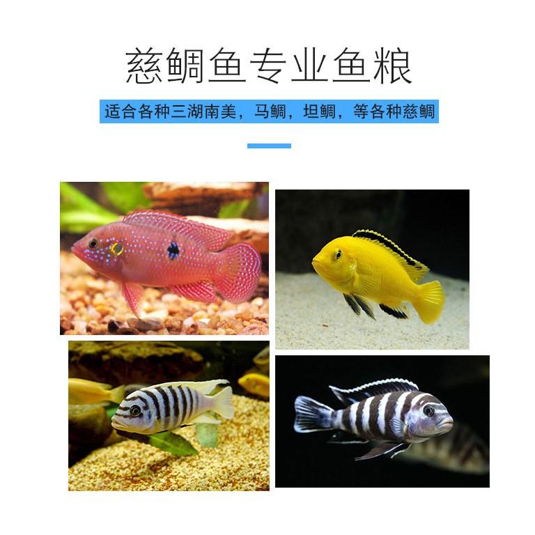 Thức ăn cá ali 450g - Cám dinh dưỡng cho cá ali - thức ăn chuyên dụng cho các dòng cá cichlids