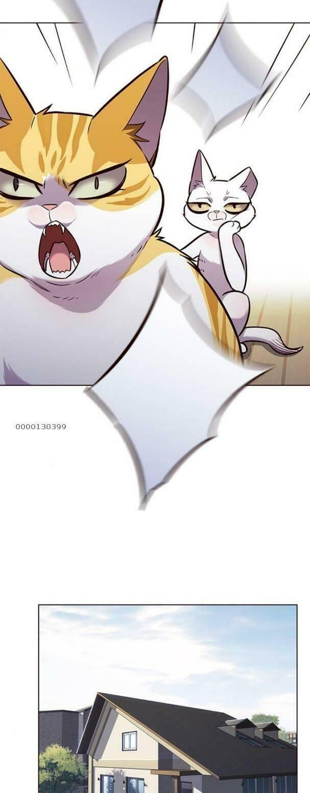 biến thân thành mèo chapter 179 25