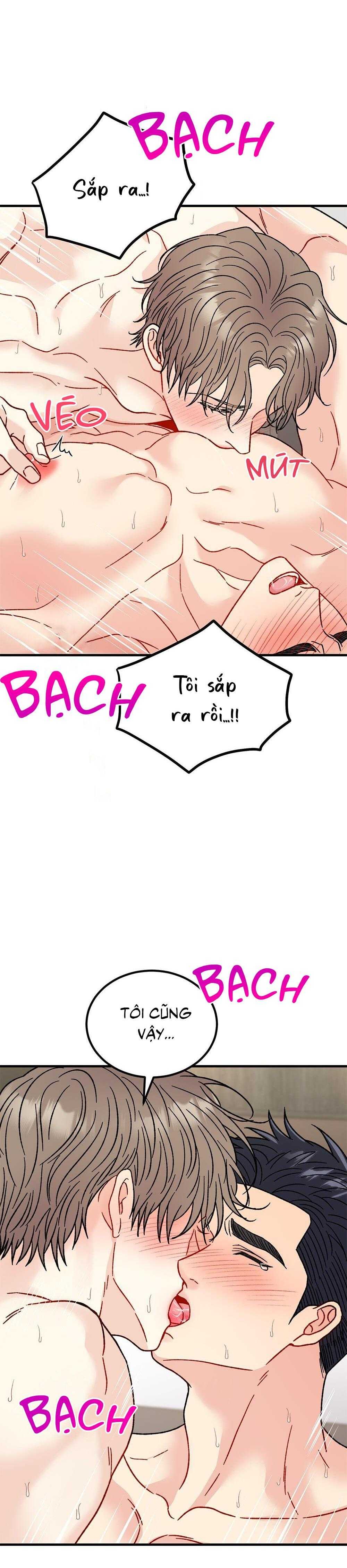 cậu không phải là gu của tôi chapter 33 37