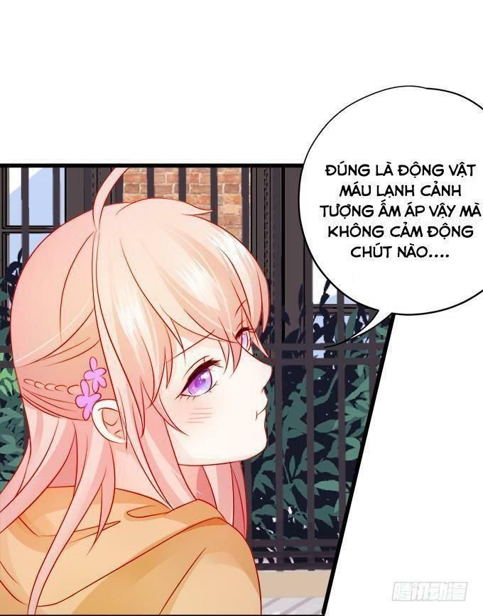 hồ tiên hung bạo chapter 14 33