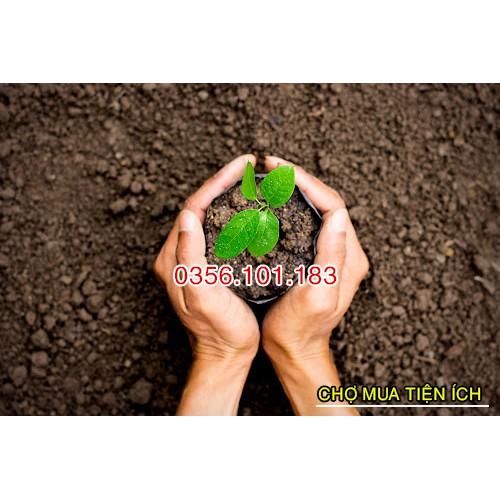 1000gr Đất Trồng Cây Trộn Sẵn Siêu Dưỡng