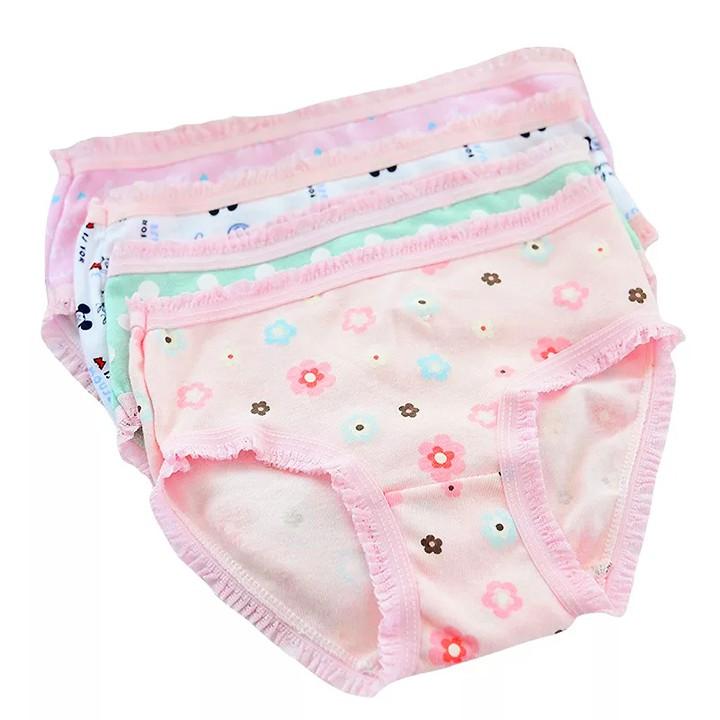 Set 4 quần lót cotton họa tiết xinh xắn nhiều màu sắc cho bé gái 2-12 tuổi – C003