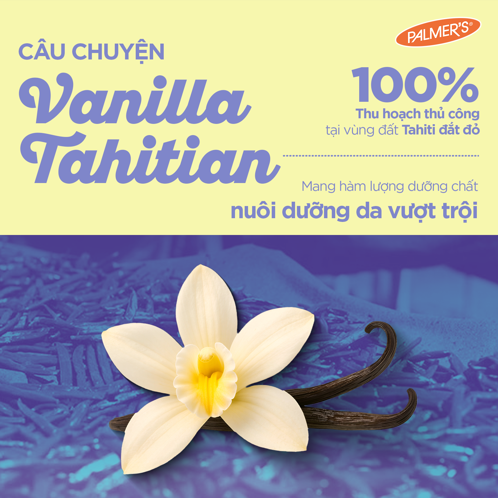 [Mới] Combo 2 Sữa Dưỡng Thể Toàn Thân Palmer's Tahitian Vanilla Lotion 250ml/ 400ml