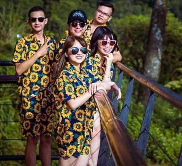 SET BỘ HOA HƯỚNG DƯƠNG KATE THÁI