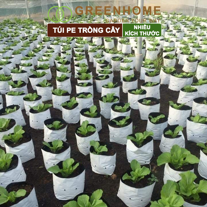 Túi PE trồng cây, nhiều kích thước, 2 lớp, chống UV tiện lợi, độ bền 1,5 năm, trồng rau, hoa, dâu tây |Greenhome