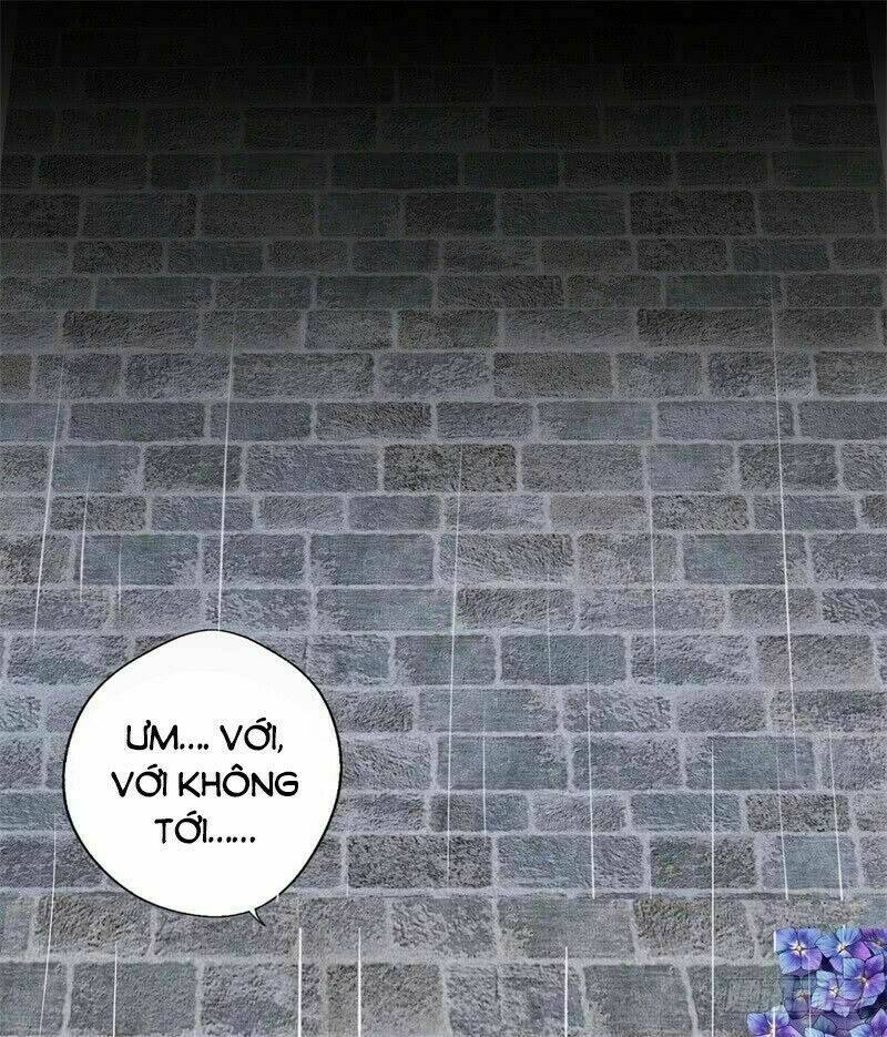 ngạo kiều tổng tài sủng điềm thê chapter 28 21