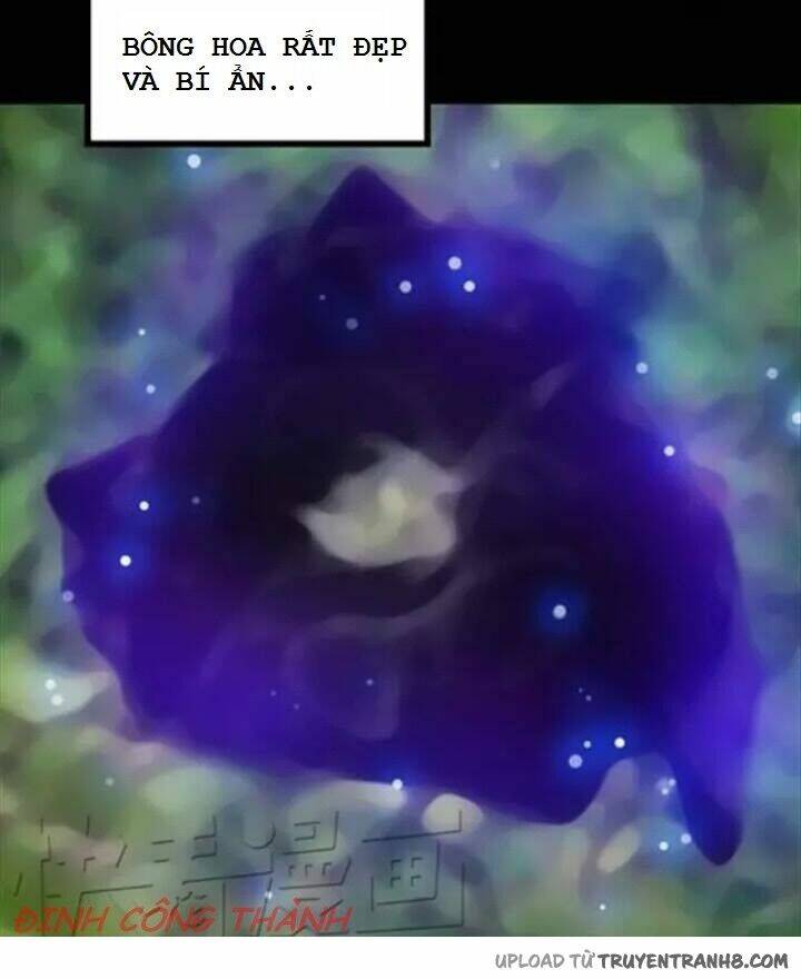 hoa mẫu đơn đen chapter 1 7