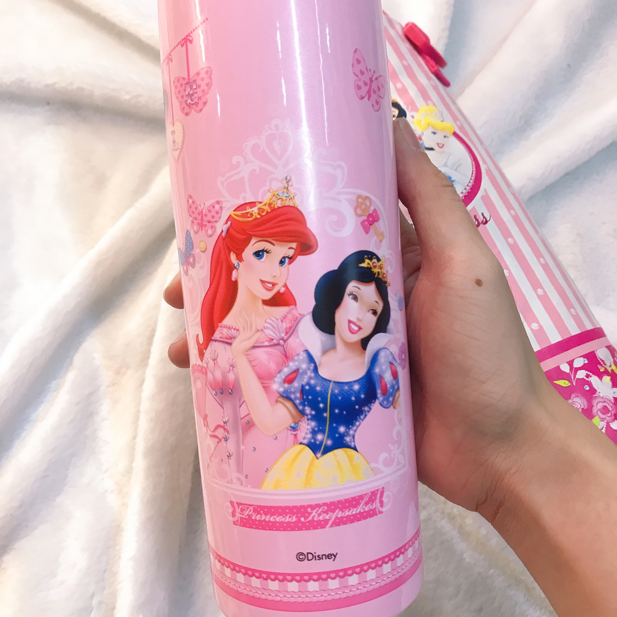Bình nước giữ nhiệt kèm túi giữ nhiệt hình công chúa Princess màu hồng cho trẻ em, các bé, học sinh -  - WD-3133BPNC