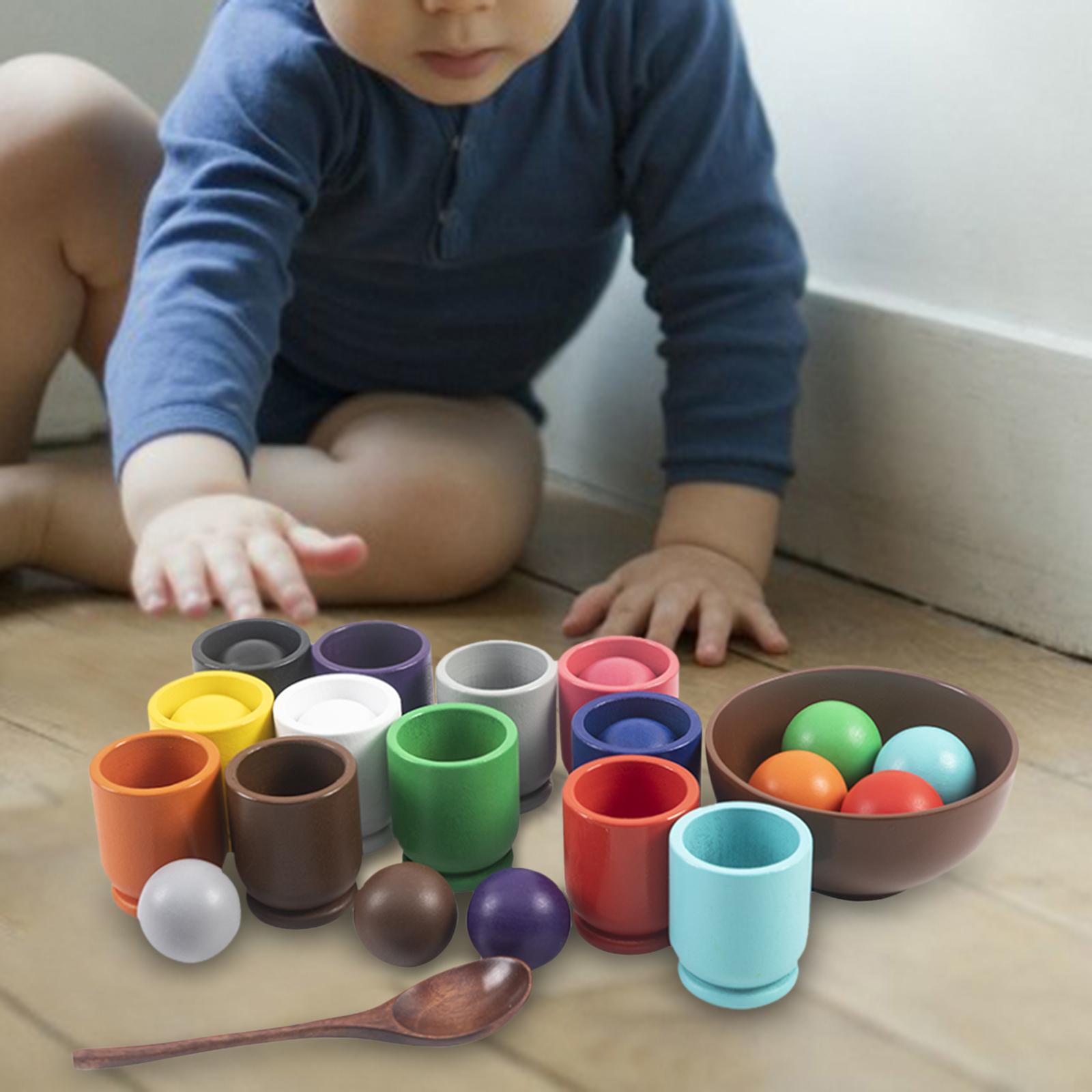 Matching Sorting Balls in Cups Color Sorting Game Board Game for Kids Baby