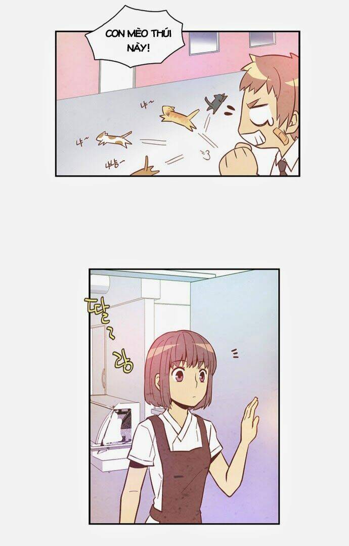 evergreen tea chapter 8 21