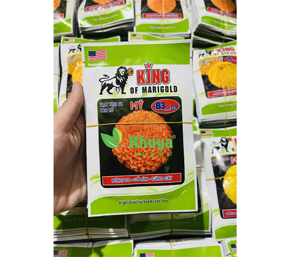 (Date: 05/11/2026) Hạt giống Hoa Vạn Thọ F1 Mỹ B3 Pro Cao Lỡ Cam Đỏ Bông To - Cổ Lùn - Cứng Cây