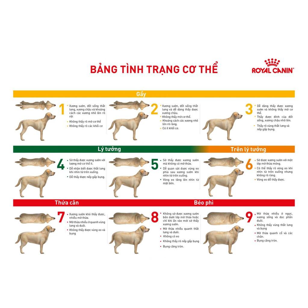 Thức ăn Hạt Khô Cho Chó bị tiểu đường - Thức ăn cho chó ROYAL CANIN DIABETIC CANINE bị tiểu đường