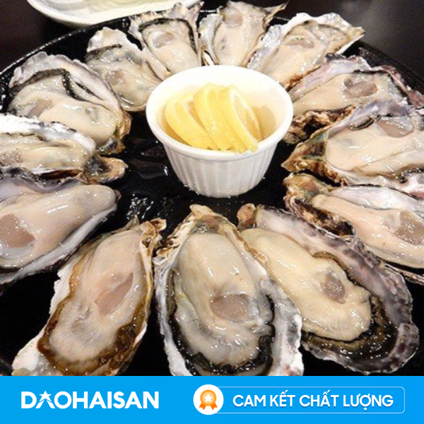 Hàu Nhật Túi 1Kg