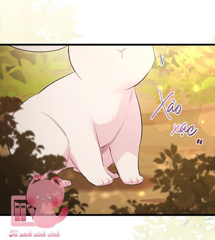 quan hệ cộng sinh giữa báo đen và thỏ trắng chapter 81 10