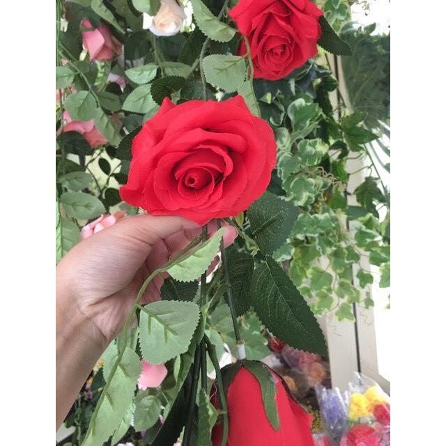 Hoa lụa - Dây leo hoa hồng 12 bông 180cm