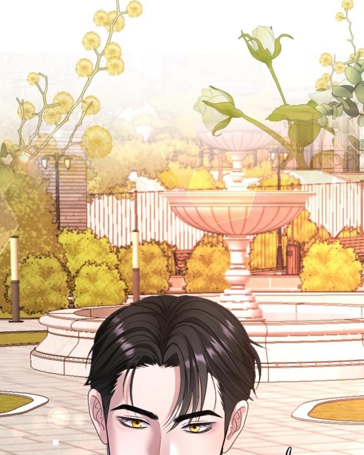 cô vợ thế thân của tỉ phú chapter 1 12