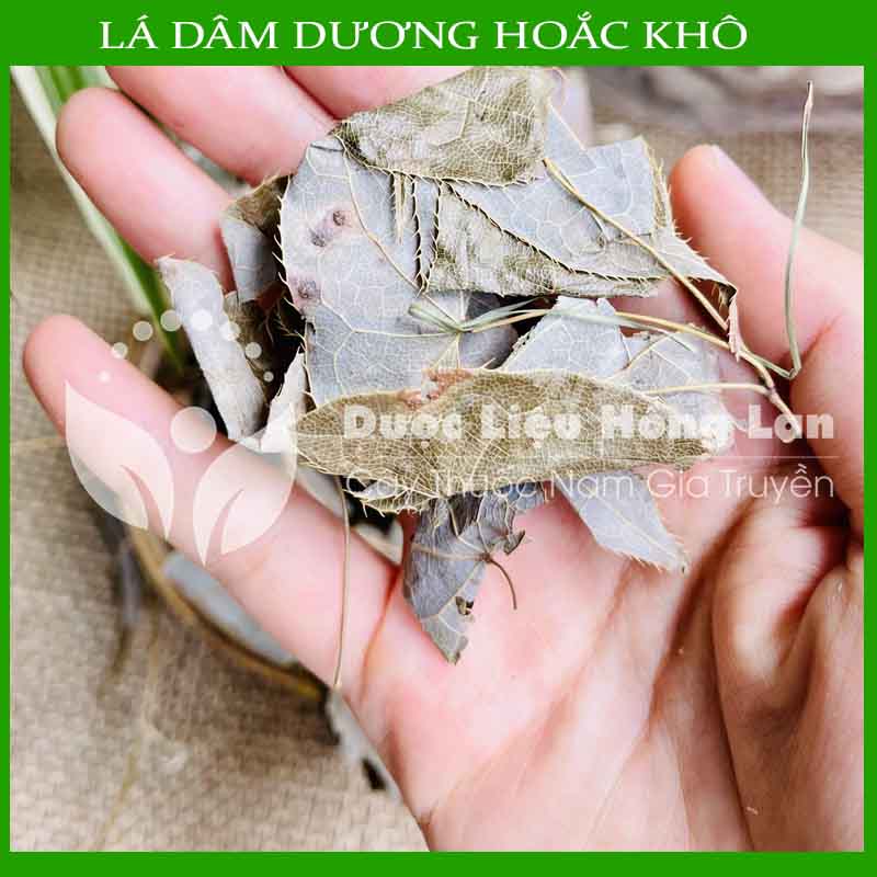 Lá Dâm Dương Hoắc khô đóng gói 1kg