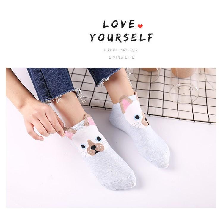 Set 05 tất nữ hình ngộ nghĩnh