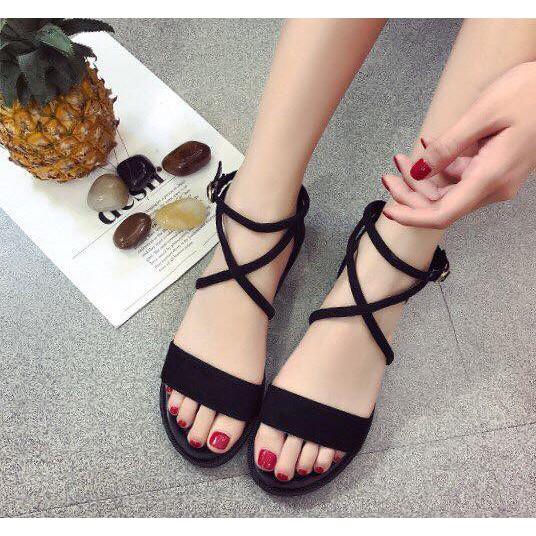 Sandan bệt bản ngang dây chéo __LZ120