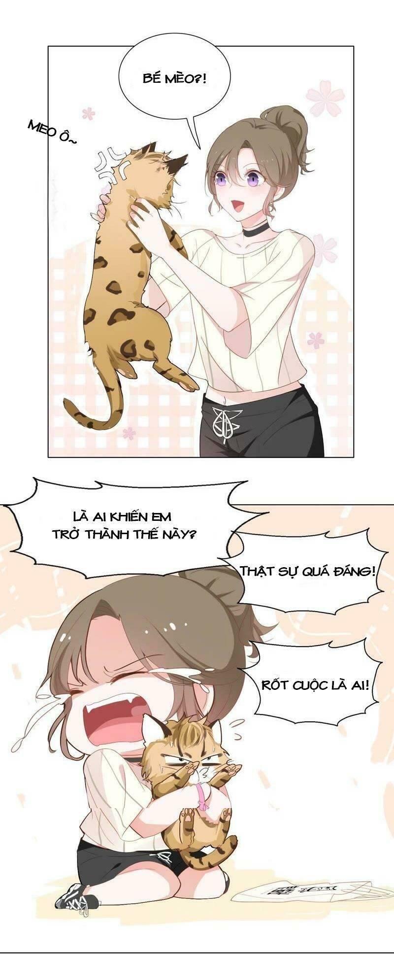 thập nhị hắc miêu chapter 1 30