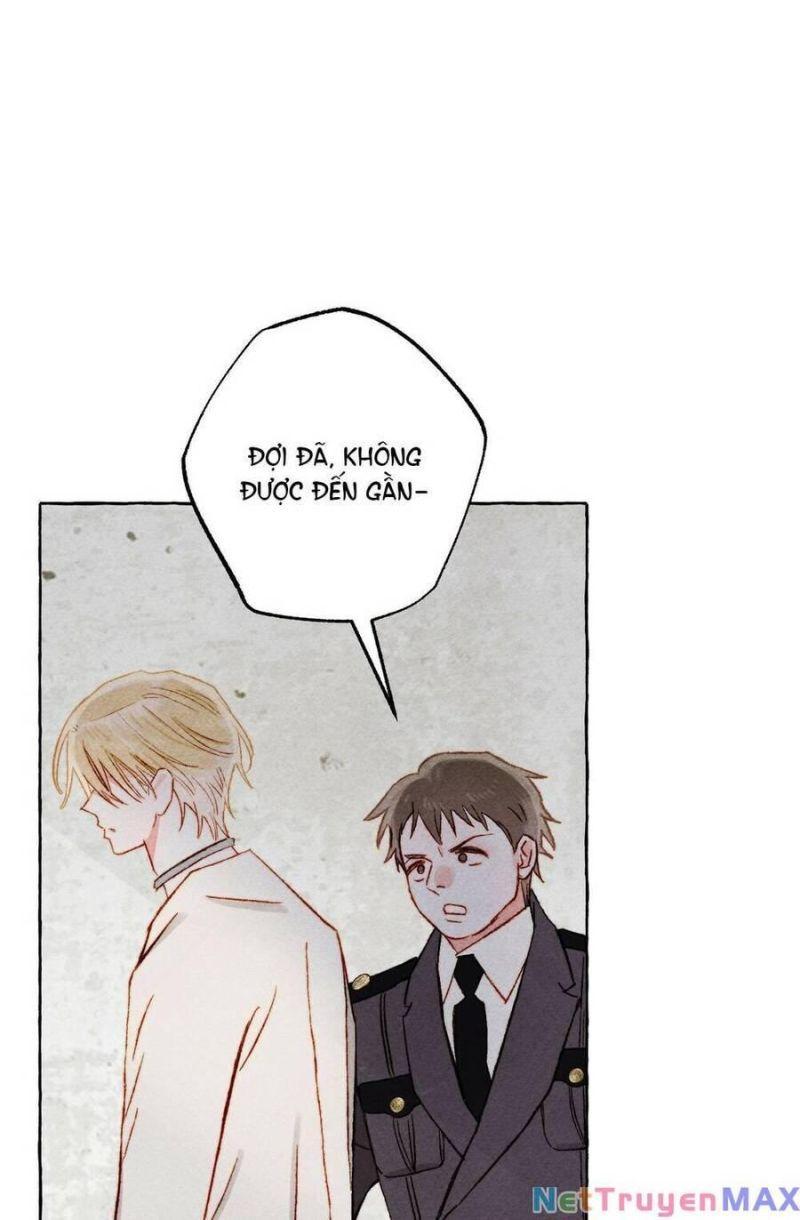 nuôi dưỡng một hắc long chapter 68.2 4