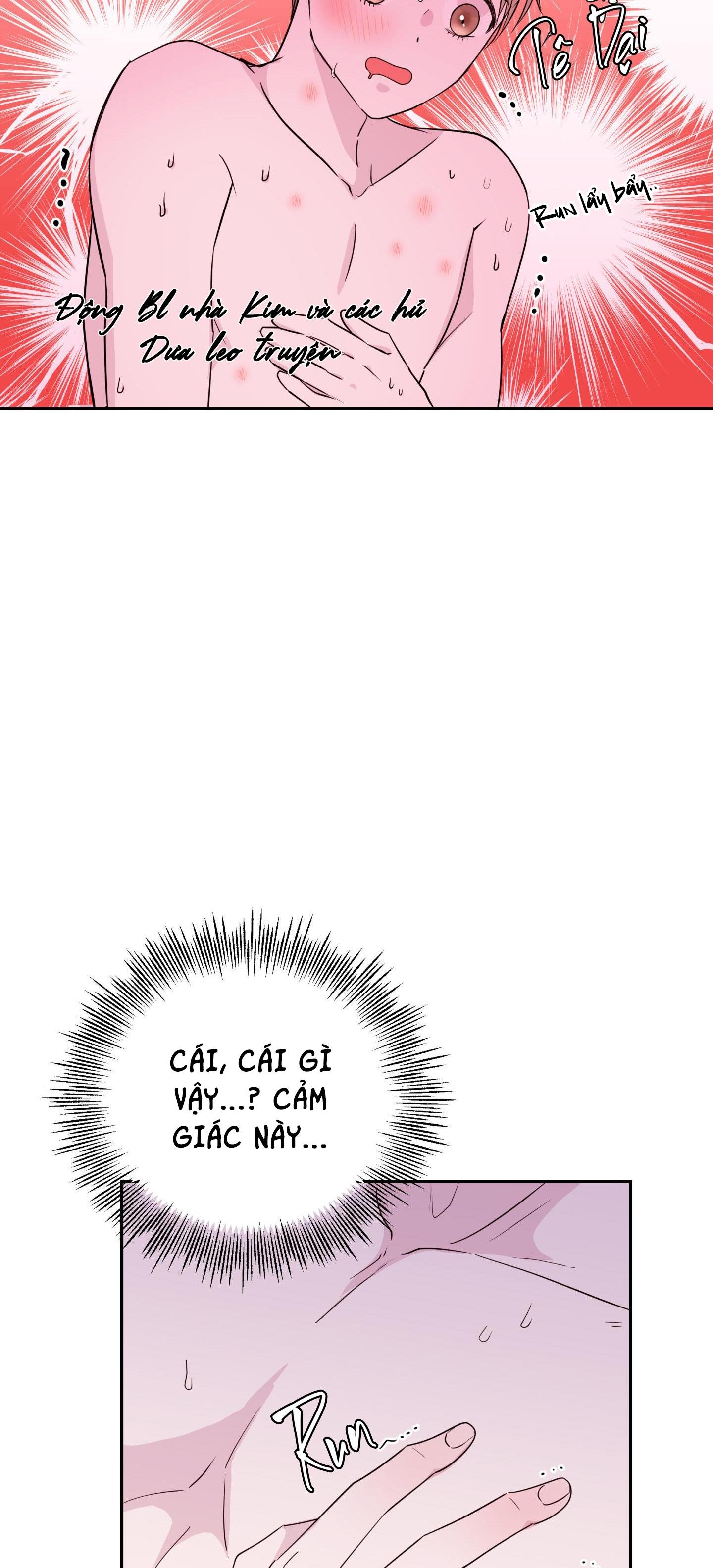 em trai vợ thật nguy hiểm chapter 17 53