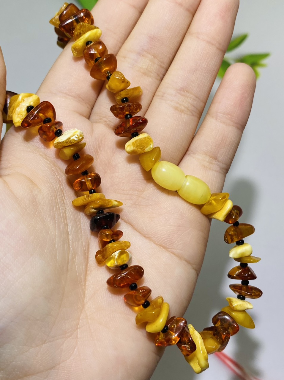 Chocker Hổ phách Mật lạp và Hoàng gia dạng thô