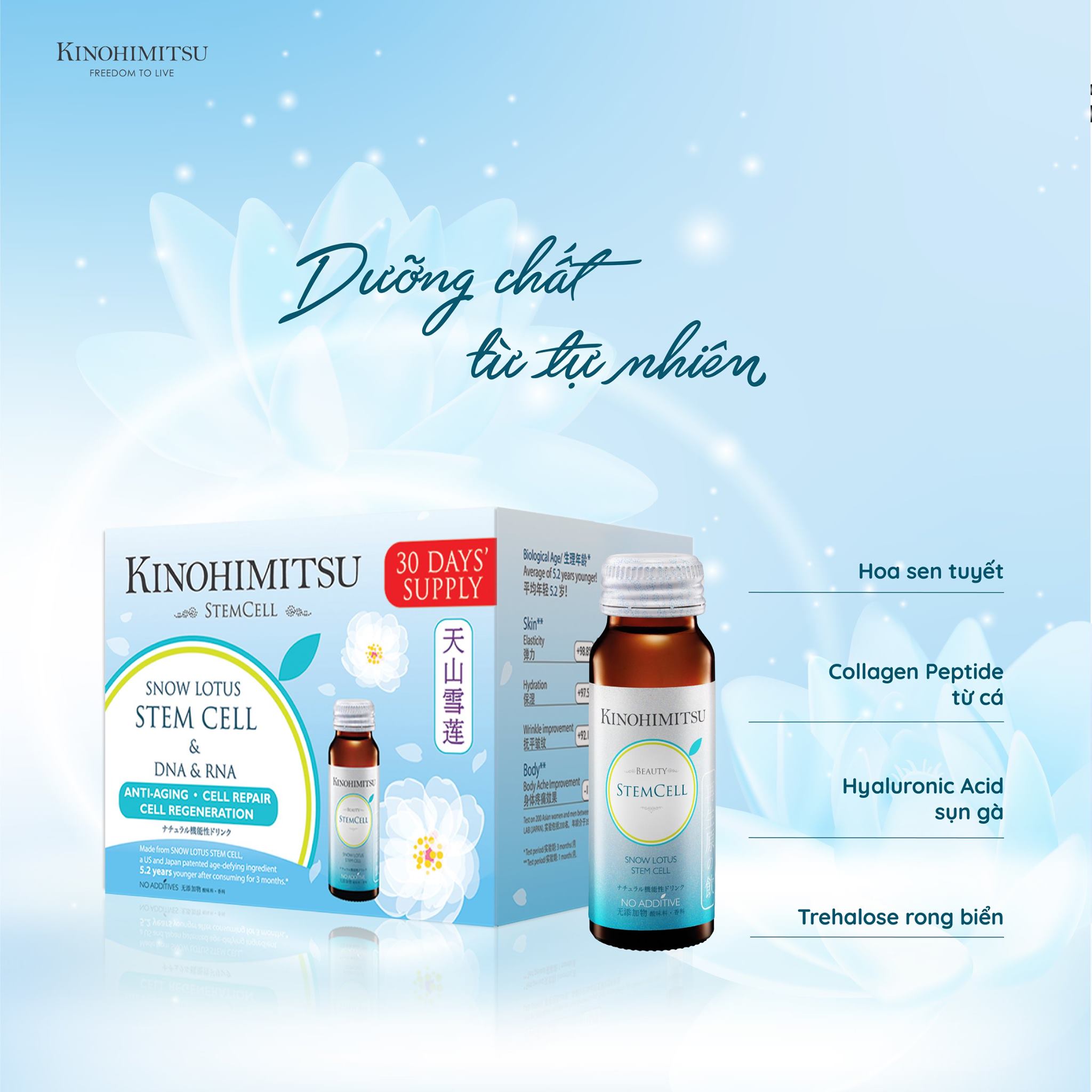 Nước Uống Kinohimitsu Chống Lão Hoá J'Pan Stem Cell Drink 50ml x 16