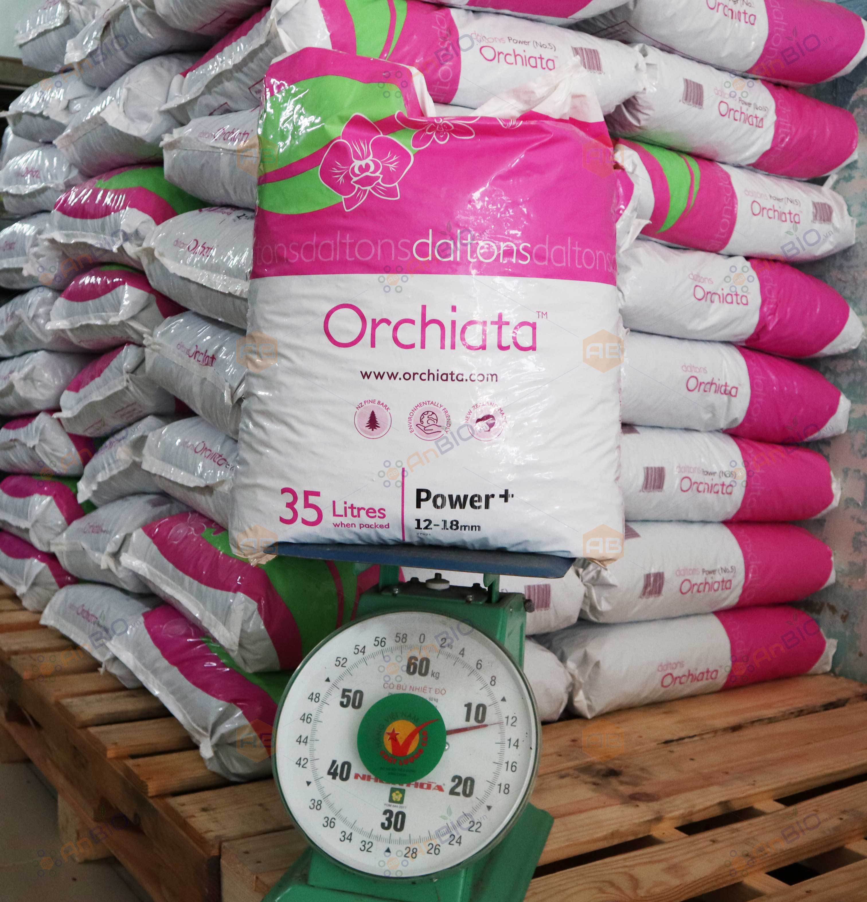 VỎ THÔNG ORCHIATA  - Gói 1L