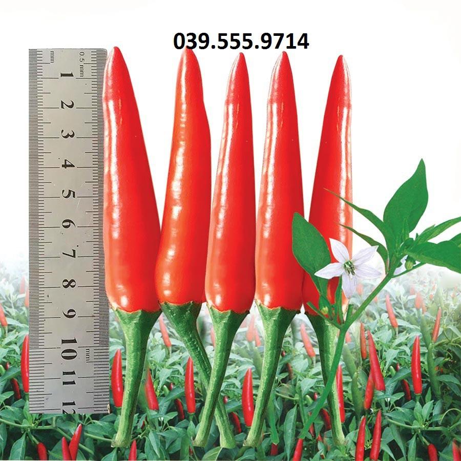 Hạt giống Ớt Hiểm Lai F1  – 5gram