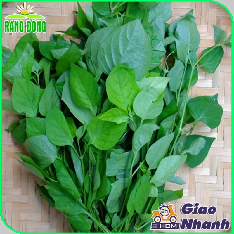 Hạt giống Rau Ngót Trồng Quanh Năm, Sinh Trưởng Khỏe - Hạt giống Rạng Đông