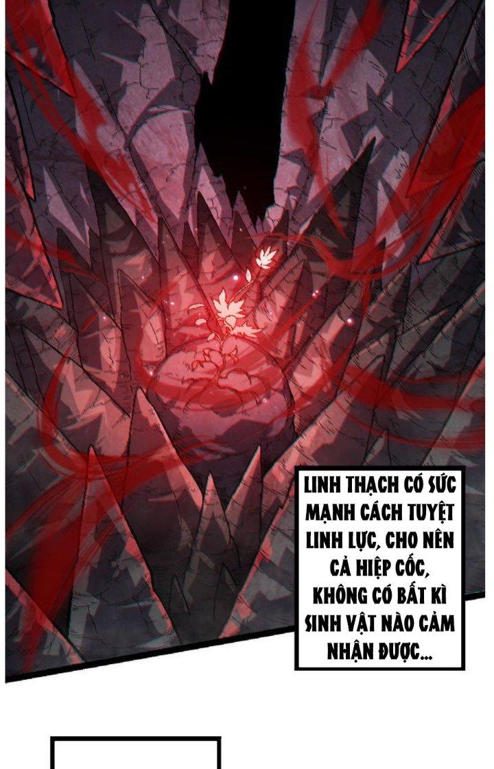 từ cây cổ thụ bắt đầu tiến hóa chapter 45 28