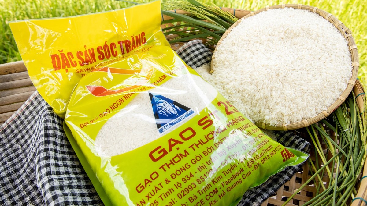 Gao ST25 Hồ Quang Cua - 5kg