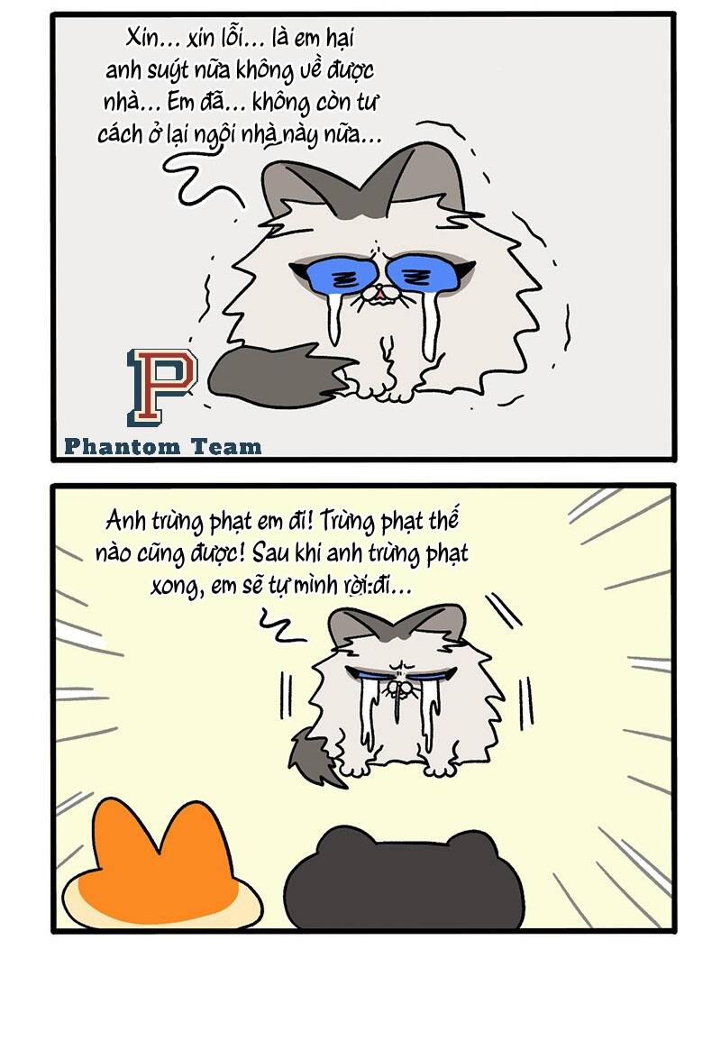 a mãn và mạch trà chapter 49 4