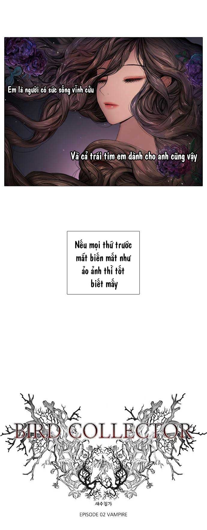 tôi chính là nhà sưu tập chim chapter 4 2