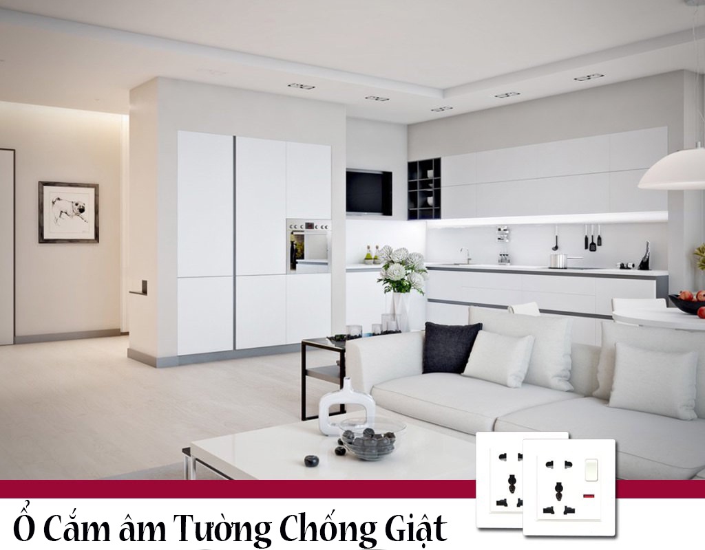 Ổ Cắm Điện Chống Giật Đơn Có Công Tắc TK-BS2P1S