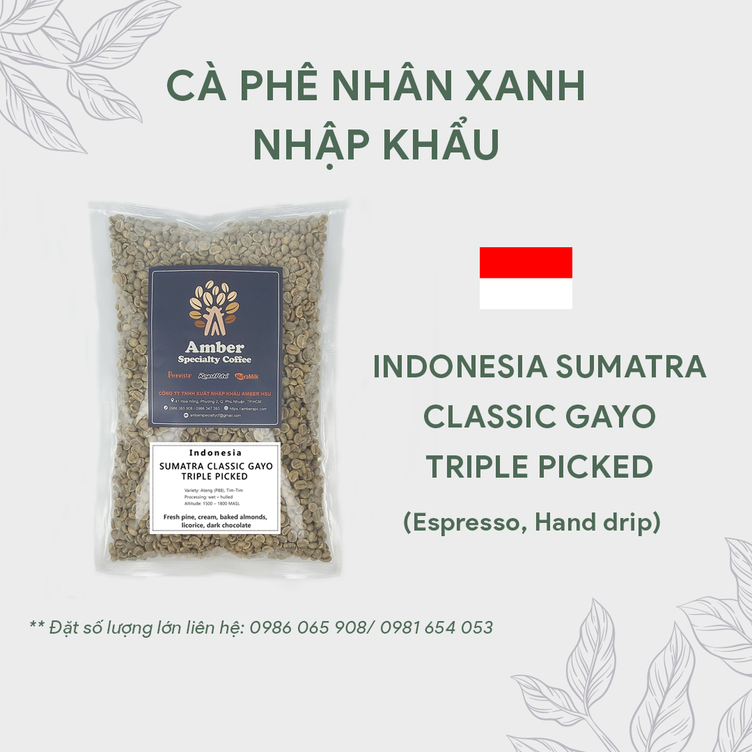 Cà phê Nhân xanh (Green Bean) Indonesia Sumatra Classic Gayo Triple Picked túi 1kg