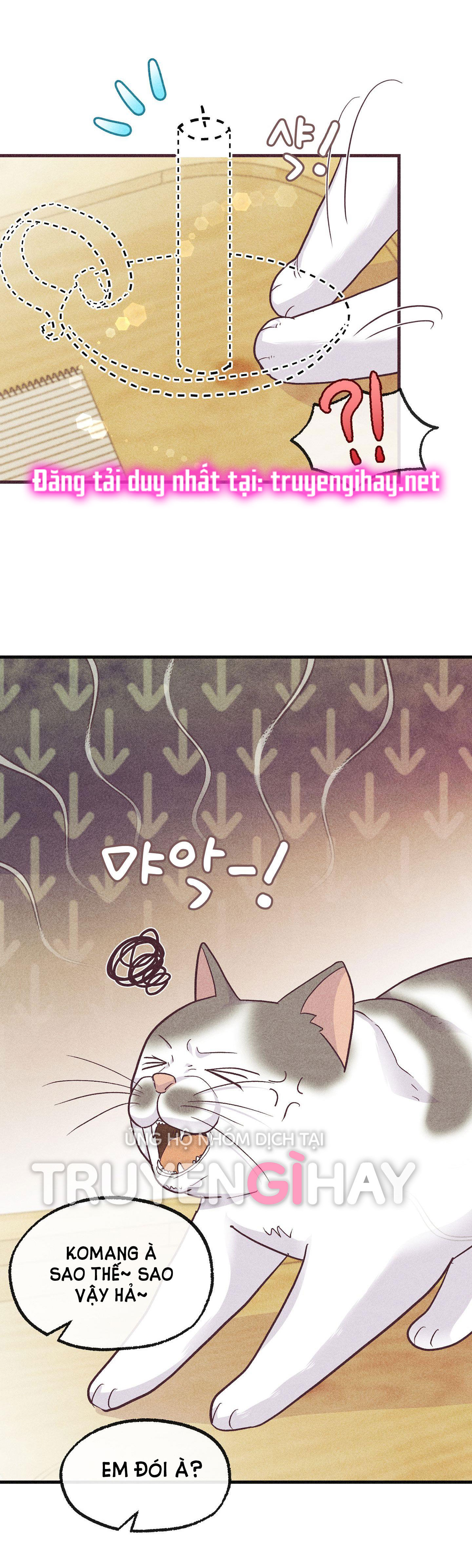 chạy đâu cho thoát chapter 50.2 11